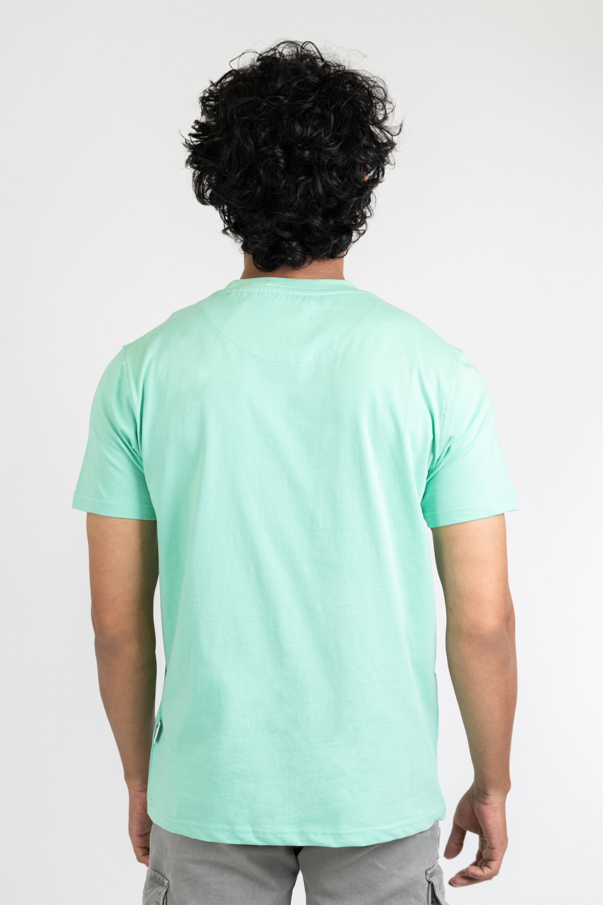 Mens Pastel Green Classic Crew Neck - Hippikart